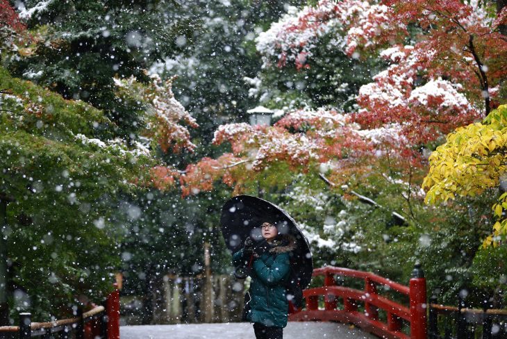 A visitor takes a photo in the snow at the Tsurugaoka Hachimangu Shrine in Kamakura, near Tokyo, Thursday, Nov. 24, 2016. Tokyo residents woke up Thursday to the first November snowfall in more than 50 years. (AP Photo/Shizuo Kambayashi)