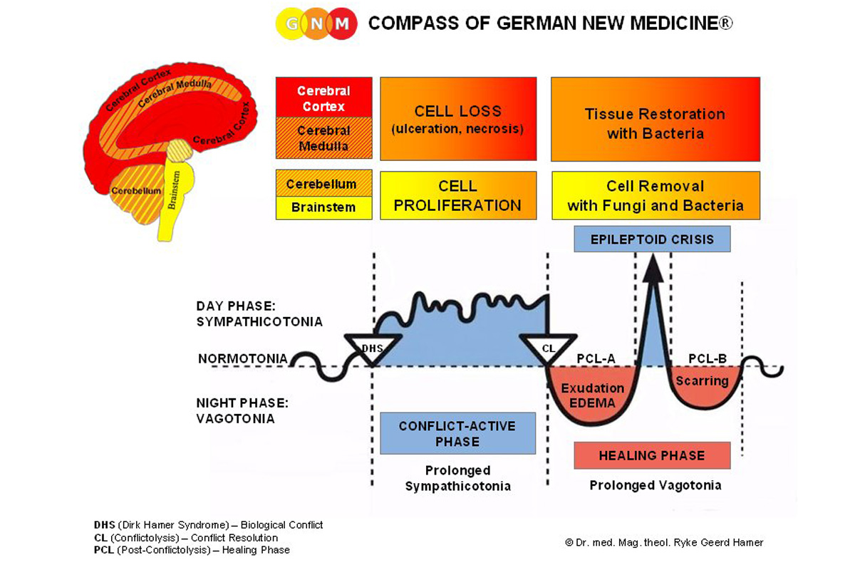 Ryke Geerd Hamer - la medecine nouvelle- German New Medicine -leyes-biologicas- terrapapers