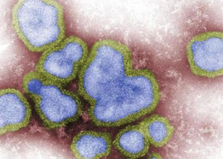 ΕΡΧΕΤΑΙ ΤΟ ΝΕΟ ΑΠΟΛΥΤΟ ΒΙΟΛΟΓΙΚΟ ΟΠΛΟ;