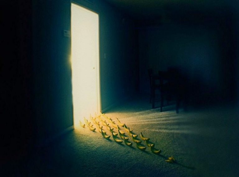 Οι αντιφάσεις της εξουσίας