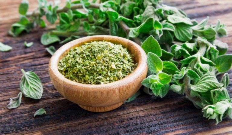 Τα μυστικά της ρίγανης