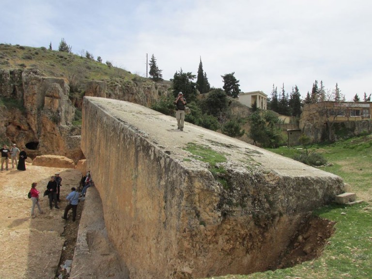 Παράξενα πλάσματα με φτερά…
