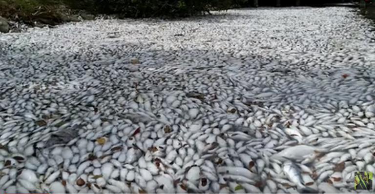 Ειναι τόσα πολλά που σου δείχνουν την επισιτιστική κρίση που έρχεται !!