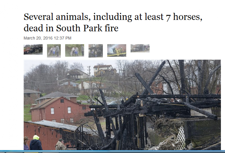 Είναι όλα συμπτώσεις …και ότι γράφει ο τρελός συμβαίνει πάνω στην γη!