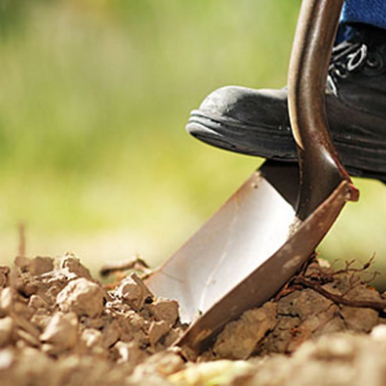 Π.ΤΣΙΜΑΣ:το ’91 οι ντομάτες μαζεύονταν μόνες τους ή σάπιζαν στα χωράφια…και ήρθαν ευτυχώς οι αλβανοί και μας έσωσαν…όπως συμβαίνει και τώρα (ναι, ρε ΜΑΣ ΣΩΖΟΥΝ πάλι) με τους ισλαμιστές (όχι δα και εισβολείς) φίλους του κάθε Τσίμα (κι ο εμφύλιος κοντοζυγώνει με κάτι τέτοιες “χοντράδες”…)