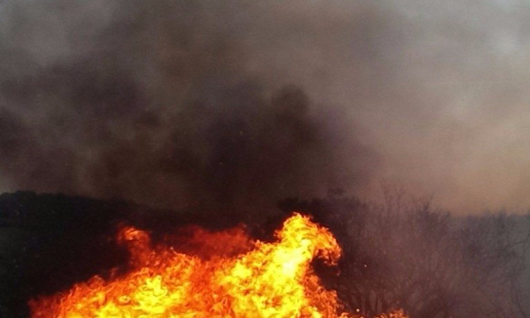 Τώρα: Μεγάλη φωτιά μαίνεται στην Αργολίδα