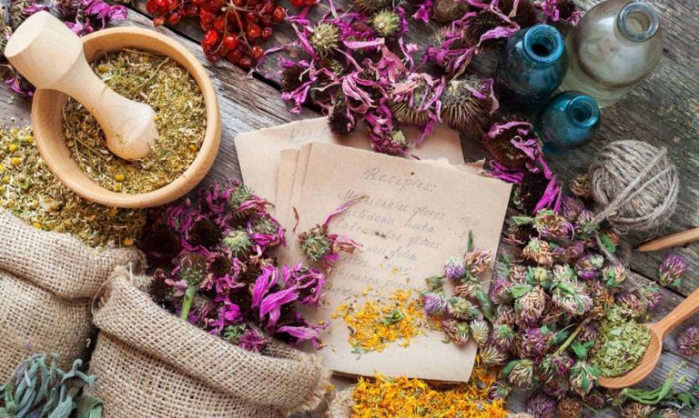 ΕΠΙΒΙΩΣΗ: Download όλα τα φαρμακευτικά φυτά της Ελλάδας