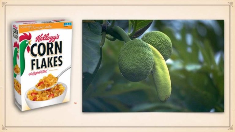 «Τροφή» για σκέψη και… μείωση πληθυσμού;