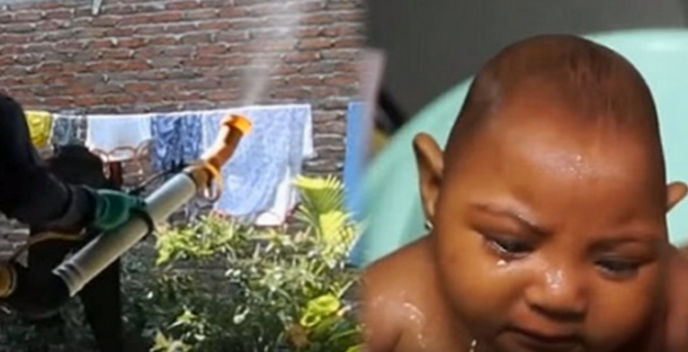 Ειναι η Monsanto υπευθηνη για τον Ιο Ζικα;