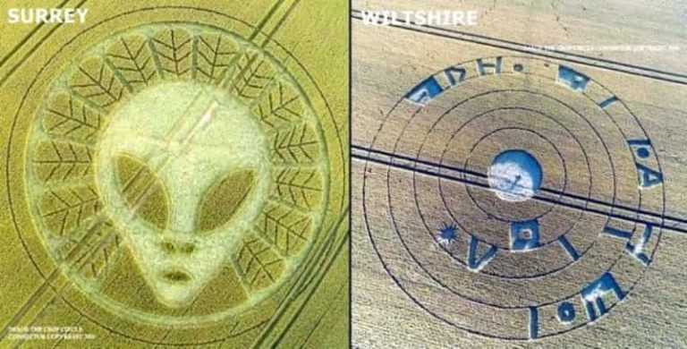 ΑΓΡΟΓΛΥΦΙΚΑ ΑΝΑΣΤΑΤΩΝΟΥΝ με ΜΗΝΥΜΑ στα ΕΛΛΗΝΙΚΑ