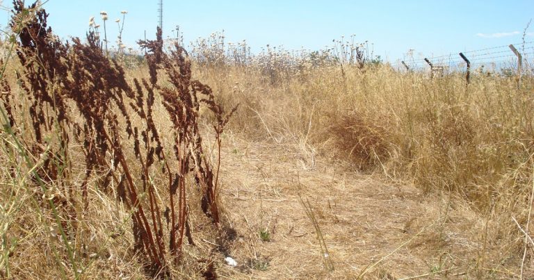 Η Ελληνική γη οδηγείται σε ολοκληρωτική καταστροφή.