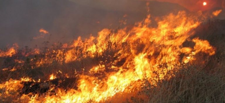 ΚΑΙΓΕΤΑΙ Η Ν. ΚΡΗΤΗ: Σε εξέλιξη μεγάλη πυρκαγιά