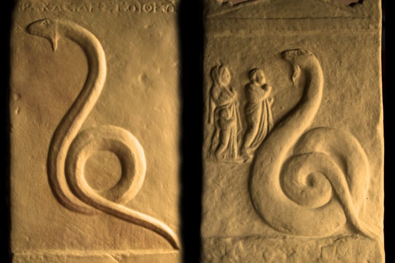 ΠΩΡΙΕΣ τα Ξανθά ζώα του ΑΣΚΛΗΠΙΟΥ