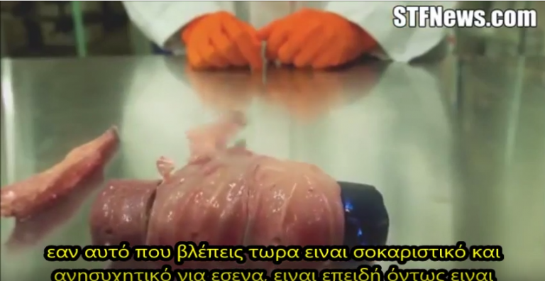 Aυτο που βλεπετε ειναι το μελλον την ανθρωπότητας ενα κομμάτι κρέας με μηχανικό εγκέφαλο