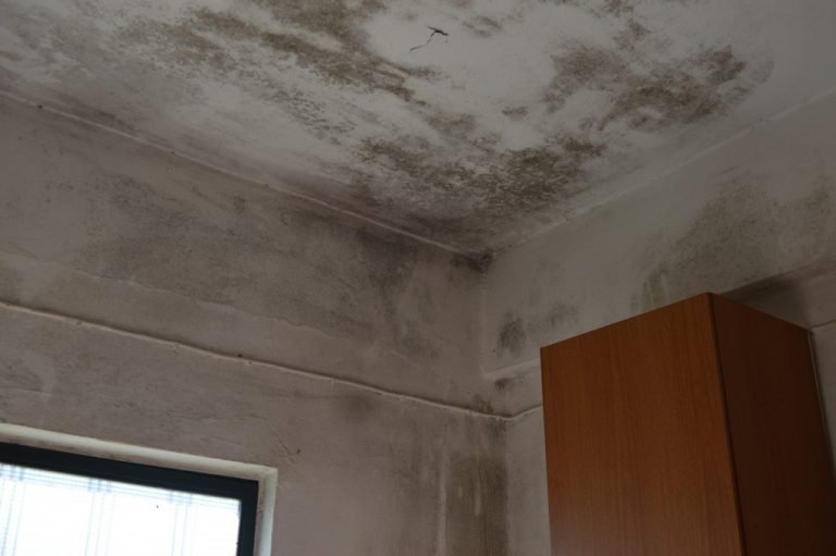 Σε απελπιστική κατάσταση και χωρίς ρεύμα εξαμελής οικογένεια στο Τυμπάκι (Video- Εικόνες)