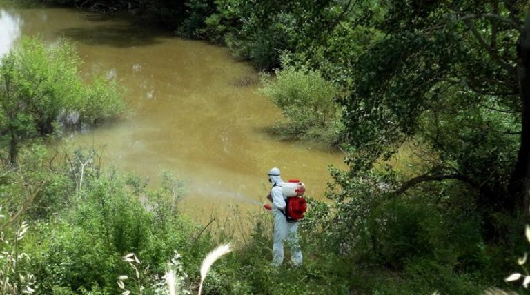 Για αύξηση των κρουσμάτων ελονοσίας προειδοποιεί τώρα το υπουργείο Υγείας