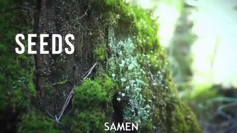 Μια ιστορία που αν το θες μπορεί να αλλάξει την Ζωή σου !