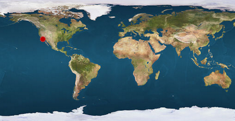 Ο Τζοι ο Καρυδοσπάστης καταβροχθίζει 188 φτερούγες κοτόπουλου και γίνεται πρωταθλητής πεδίου