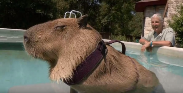 Πόσο μαζί σου είμαι ρε φίλε….