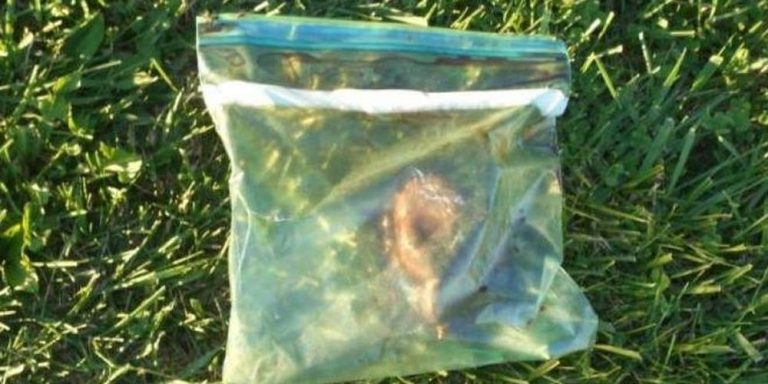 Ανθρώπινη καρδιά βρέθηκε μέσα σε σακούλα σε βενζινάδικο