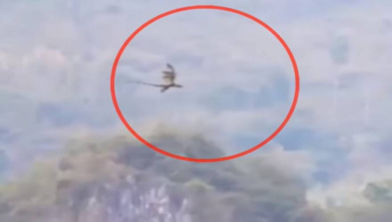 Δράκος το μυστήριο πλάσμα που εμφανίστηκε στον ουρανό της Κίνας και προκάλεσε αναστάτωση;