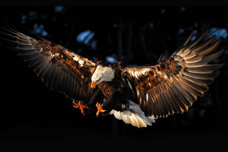 ἱερός – ουσία: ετυμολογία και σημασιολογία