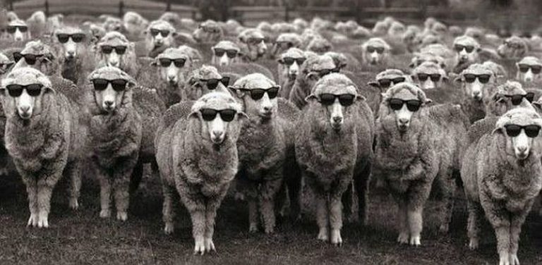 Μουσικουλα ρε αχρηστοιοιοι….Δωσε δυνατα μωρεεεε! Μπήκαν τα γίδια στο μαντρί!!!!