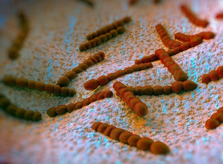 Η Πνευμονιοκοκικκή Πνευμονία απειλεί μικρούς και μεγάλους: Προκαλεί μεγάλη θνητότητα