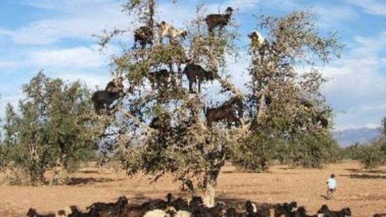 Βρε μη ψαχνεις ολα καμμένα εξ αρχής…