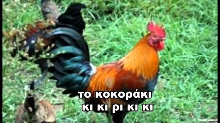 Μαθήματα για επίδοξους πολιτικούς και άλλους… «ηγέτες»