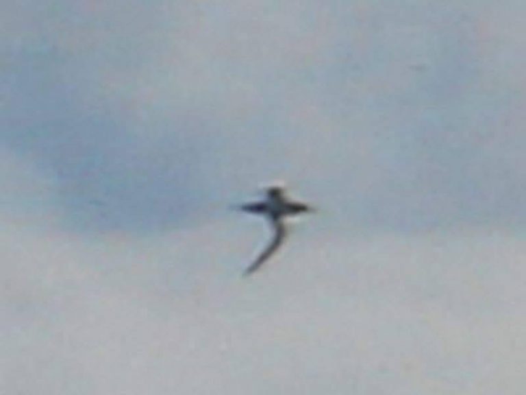 Οι Φωτογραφίες τραβήχτηκαν από ένα δεξαμενόπλοιο πριν 2 χρόνια από ΗΠΑ..