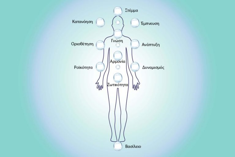 ΤΟ ΕΛΛΗΝΙΚΟ ΔΕΝΤΡΟ ΤΗΣ ΖΩΗΣ ΚΑΙ ΤΑ 11 ΕΝΕΡΓΕΙΑΚΑ ΚΕΝΤΡΑ ΤΟΥ ΑΝΘΡΩΠΟΥ