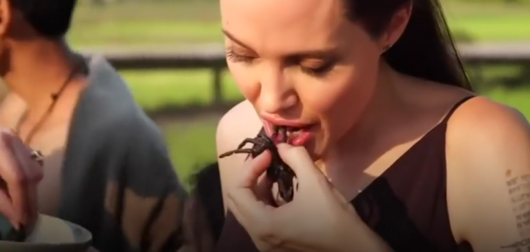 Η ιέρεια του σατανιστικού ΟΗΕ Αντζελίνα Τζολί διαφημίζει τα έντομα ως τροφή – Ταραντούλες και σκορπιούς!