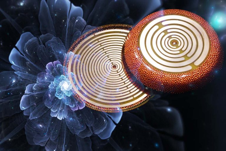 Οργόνη & Ηθολογία Φυτών