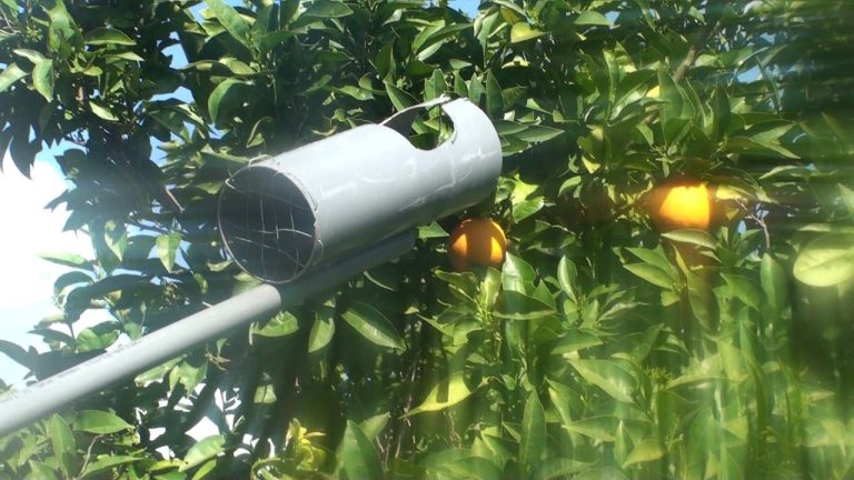 Φτιαξε ενα φρουτοσυλλεκτη