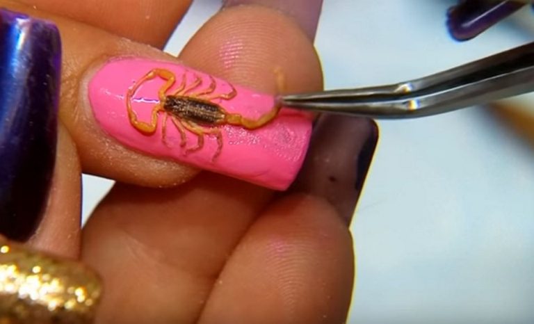 ΩΣ ΠΟΥ ΦΤΑΝΕΙ Η ΜΟΔΑ ΤΗΣ ΣΥΓΧΡΟΝΗΣ ΤΡΕΛΑΣ