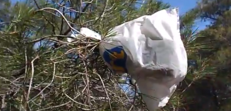 ΠΩΣ ΣΥΛΛΕΓΟΥΜΕ ΝΕΡΟ ΑΠΟ ΤΑ ΔΕΝΤΡΑ !