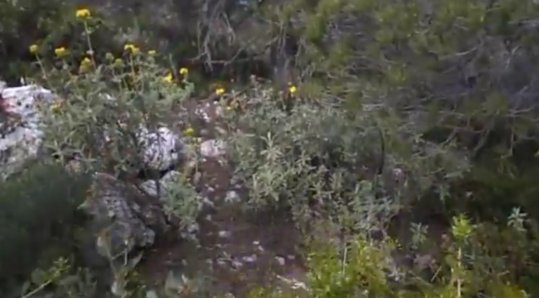 “ΕΞΟΡΜΗΣΗ 2 ΗΜΕΡΩΝ ΜΕ 1 ΔΙΑΝΥΚΤΕΡΕΥΣΗ ΜΟΝΟΣ ΣΤΗ ΦΥΣΗ”