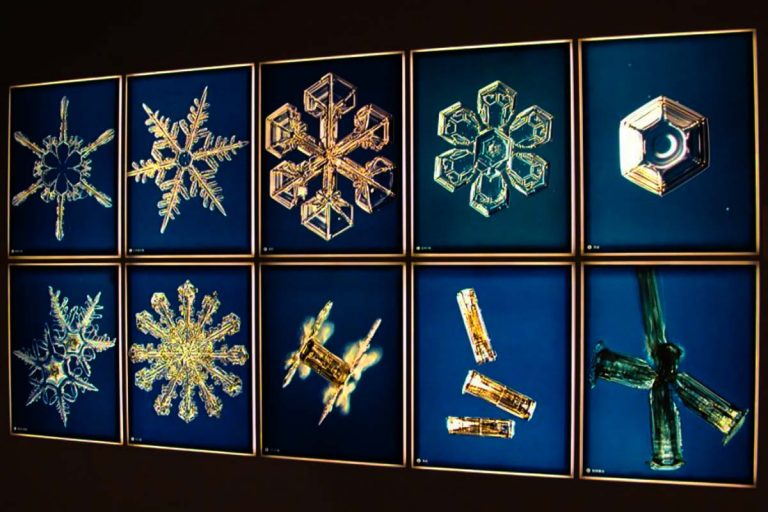 Το Μυστικό του Νερού: Dr. Masaru Emoto