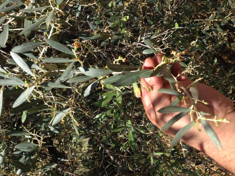 18 λέξεις αυτογνωσίας