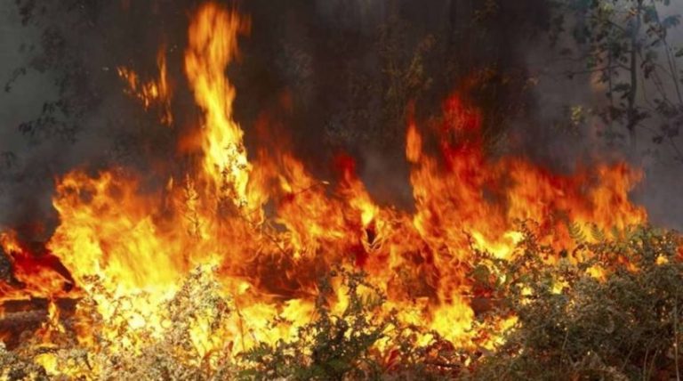 Ανήλικη προκάλεσε δυο πυρκαγιές στη Μεσσηνία