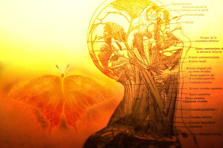 Φυσική vs Συστημική Ιατρική