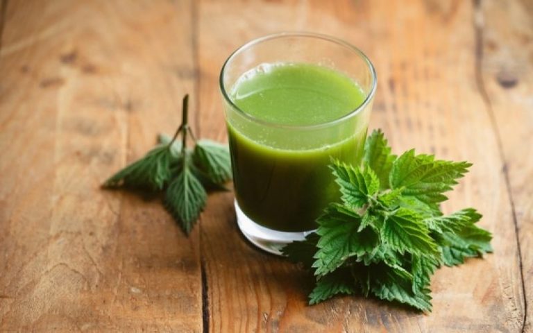 Το φυτό με τις 60 διαφορετικές θεραπευτικές ιδιότητες