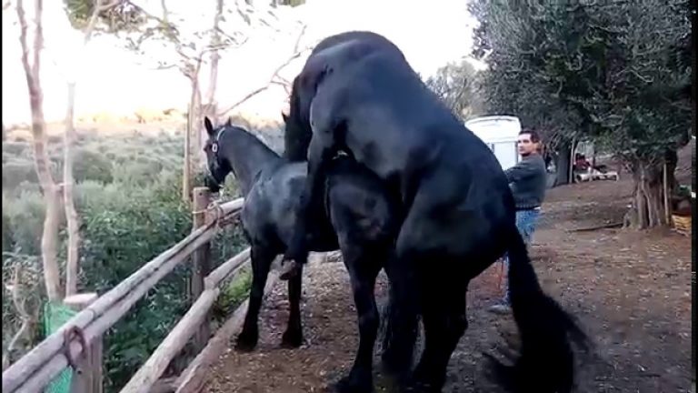 Μήνυμα Stranger προς Straight , να μην είστε κομπλεξικοί για αυτό που είστε;