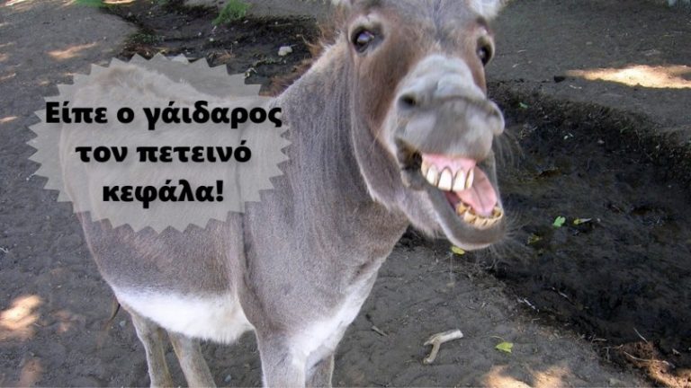 Hoax είσαι και φαίνεσαι!