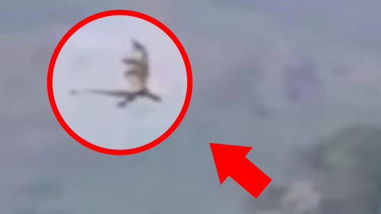 ΕΣΕΙΣ ΠΟΥ ΤΑ ΞΕΡΕΤΕ ΟΛΑ…ΘΑ ΜΟΥ ΠΕΙΤΕ ΤΙ ΕΙΝΑΙ ΑΥΤΟ…?