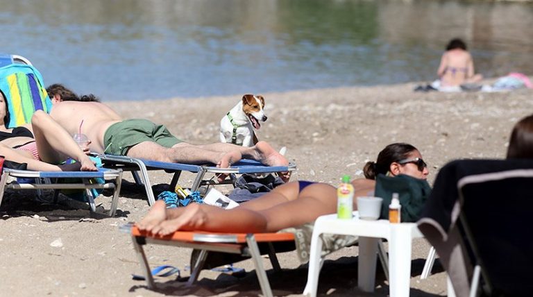 Νέο κύμα καύσωνα – Στους 42 βαθμούς θα «σκαρφαλώσει» ο υδράργυρος