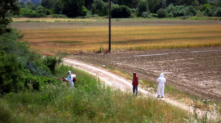 Πάνω από τριάντα κρούσματα ελονοσίας τον Ιούλιο – Ποιες περιοχές έχουν μπει σε καραντίνα