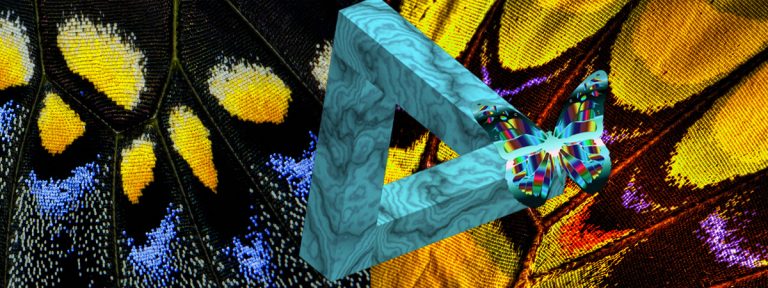 Παραξενιές στα Φτερά των Πεταλούδων