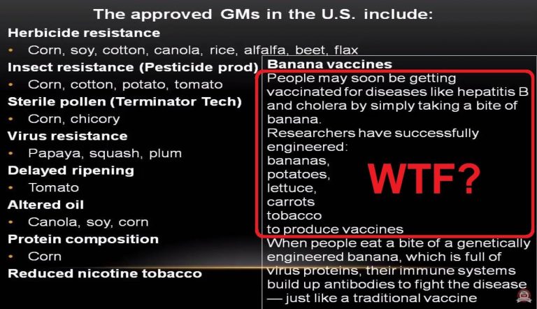 ΚΑΝΕΙΣ -που σημαινει ΟΥΤΕ ΚΑΝ ΕΝΑΣ, θα σε σωσει!